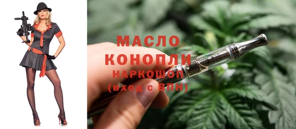 spice Богородицк