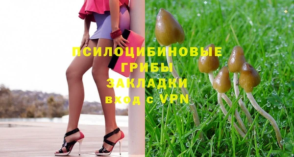 spice Богородицк