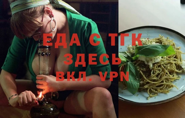 spice Богородицк