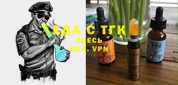 spice Богородицк