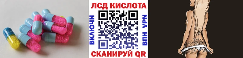 продажа наркотиков  Бердск  Лсд 25 экстази кислота 