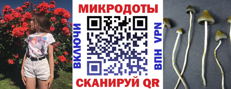 где найти наркотики  Бердск  Псилоцибиновые грибы GOLDEN TEACHER 