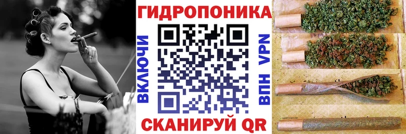 Каннабис индика  Бердск 